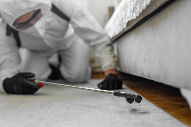 Professional Cockroach Control technician working in Walworth, WI