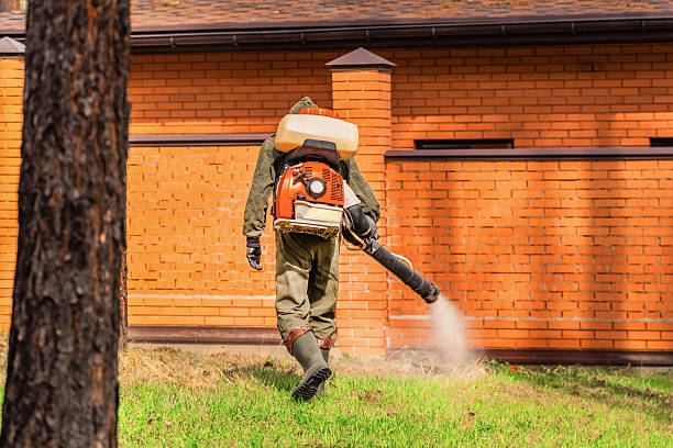 Trusted Bed Bug Control service in Walworth, WI - Nex Pest Control